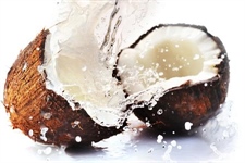 What's the Coconut Oil Craze?